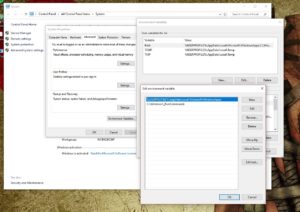 Editing the Path Environment Variable in Windows 10